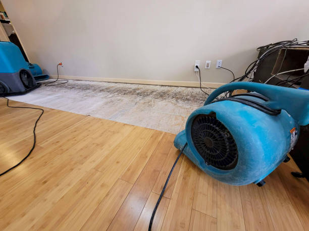 Professional Flood Damage Cleanup technician working in Newton Lower Falls, MA